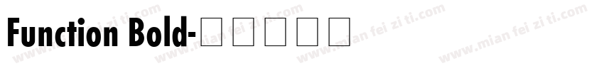 Function Bold字体转换
